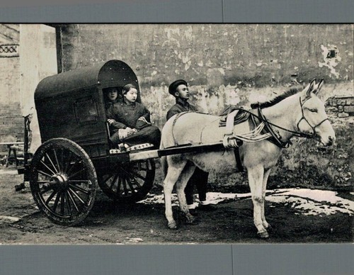 Cina pechino carretto cavallo - carretto,